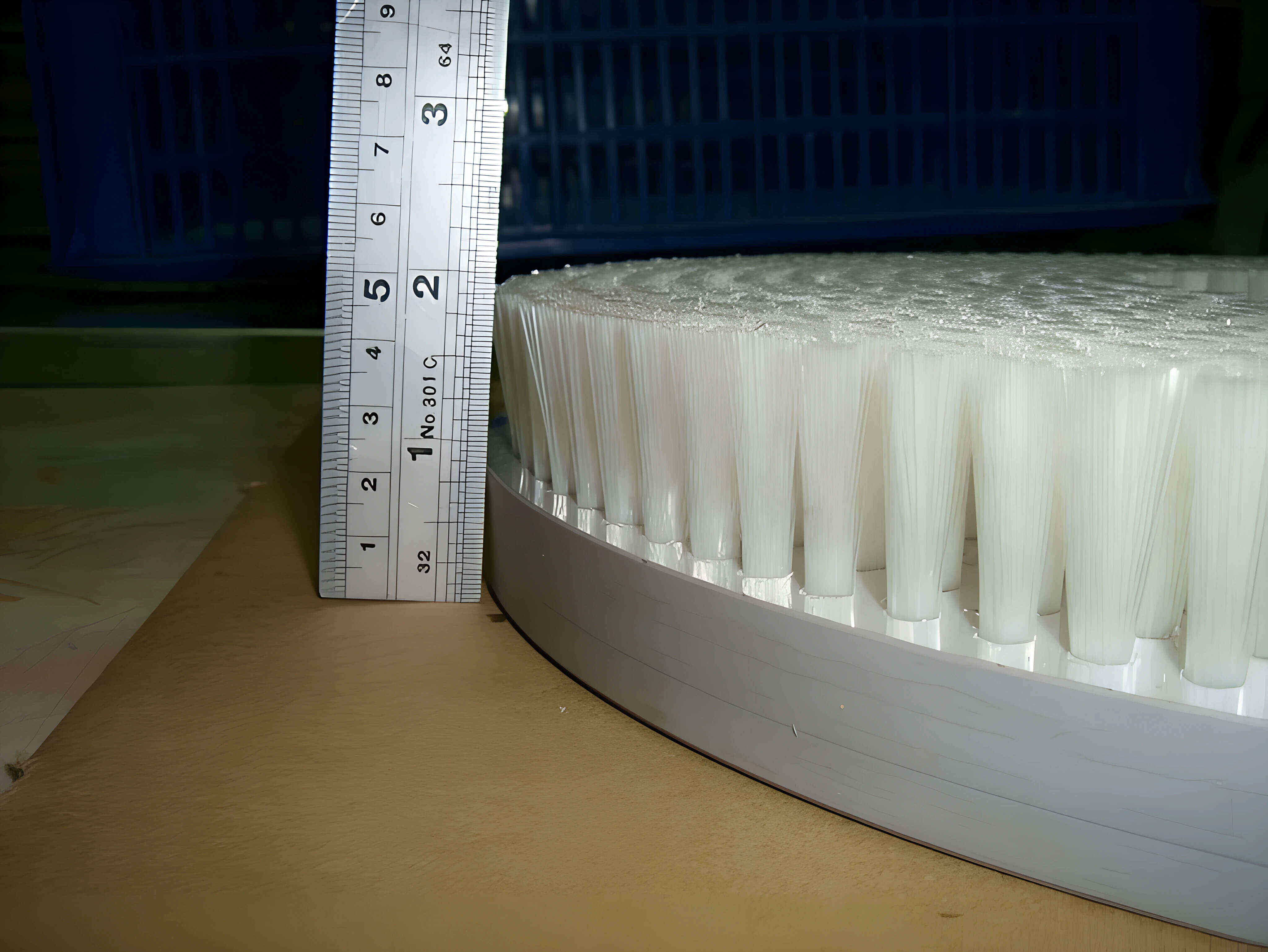 Close-up of the brush face of a YC Brushes large disc brush, with a steel ruler beside it to show the filament height